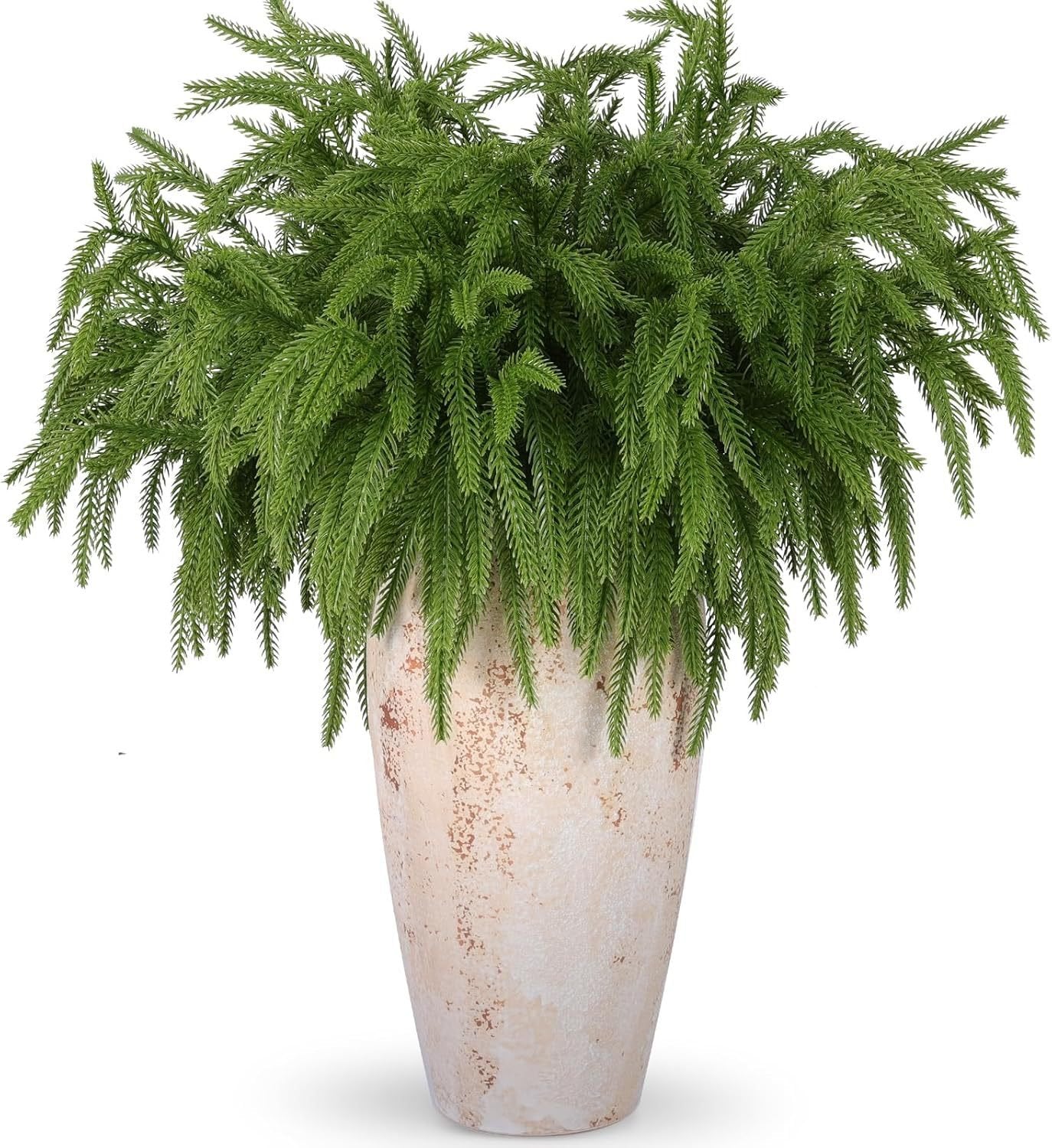 Naotstore - Natural Christmas Greenery-Norfolk Pine Branch