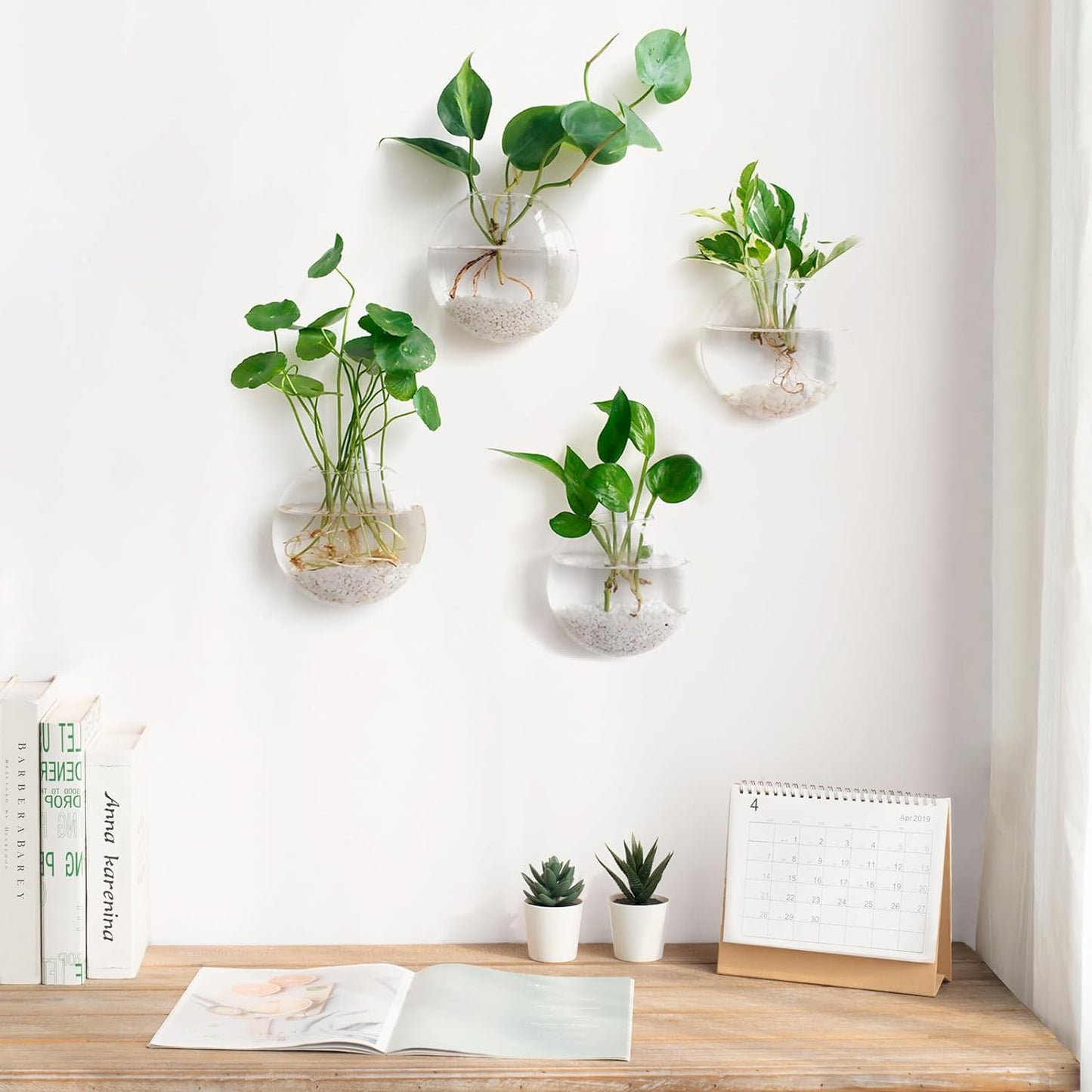 Naotstore - Glass Oblate Globe Plants Containers Wall Mount Clear Flower Vase
