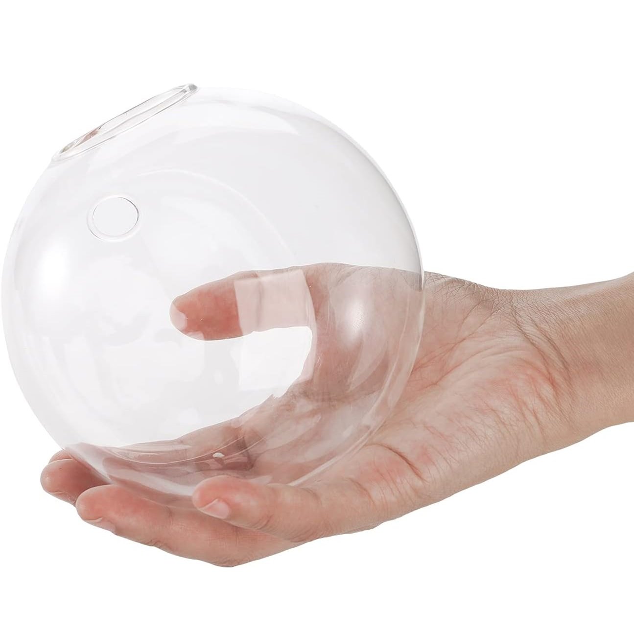 Naotstore - Glass Oblate Globe Plants Containers Wall Mount Clear Flower Vase