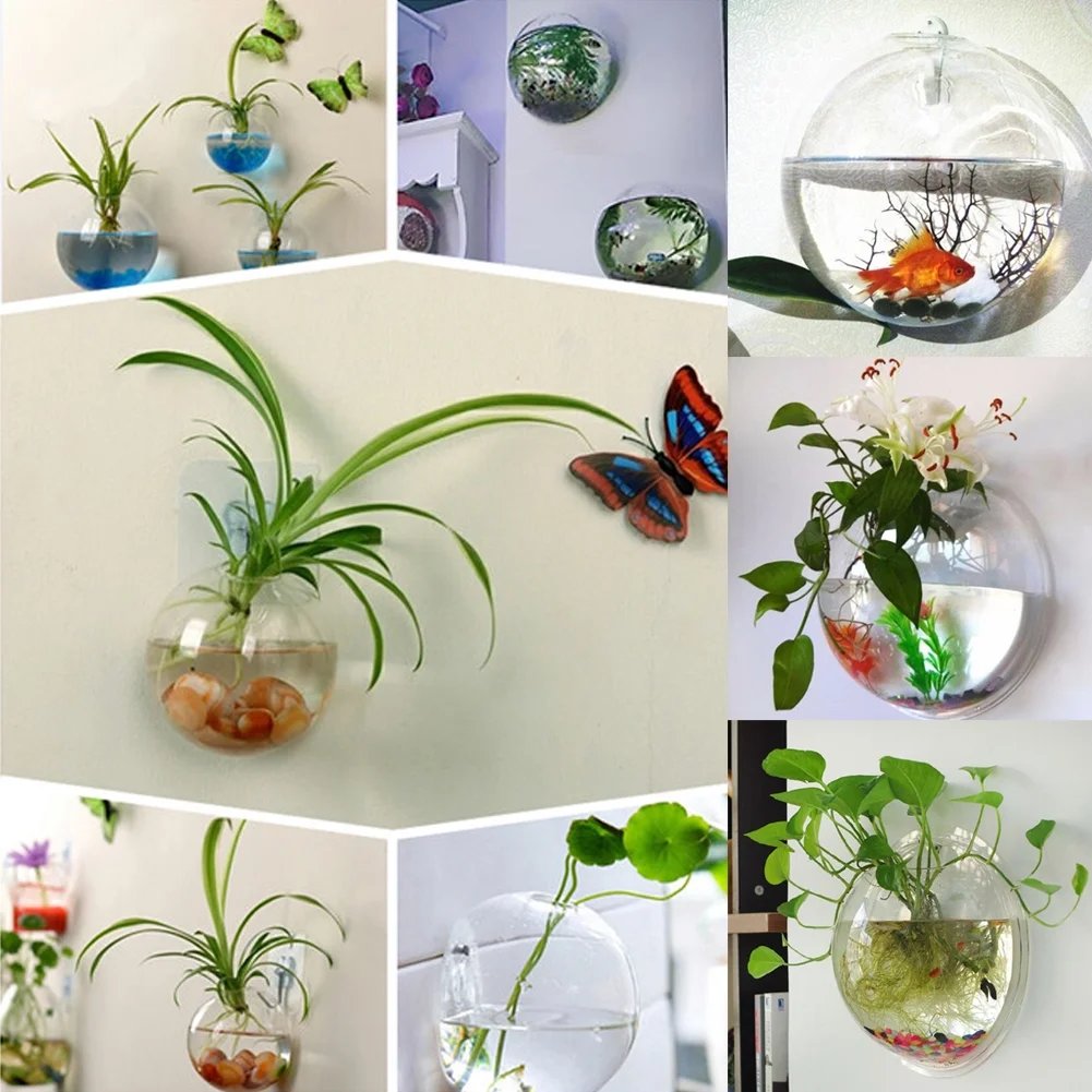 Naotstore - Glass Oblate Globe Plants Containers Wall Mount Clear Flower Vase