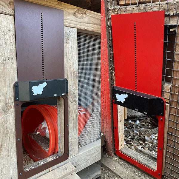 đThis week's specials - Automatic Chicken Coop Door - naotstore
