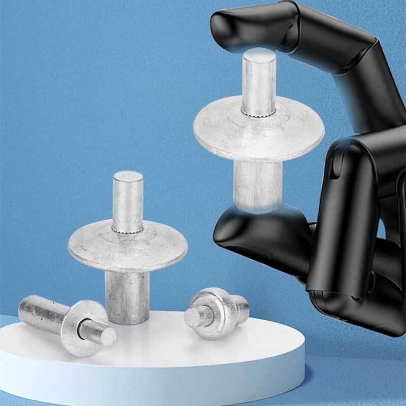 Naotstore - Drive Rivets (50/100/200 PCS)