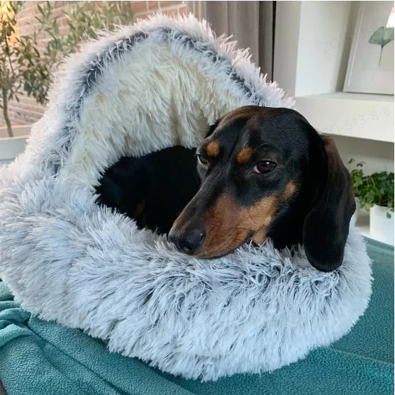 Naotstore - Plush bed for dogs & cats