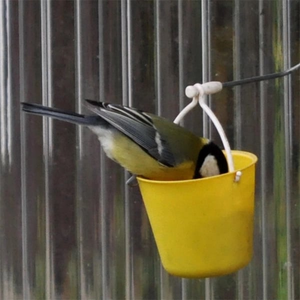 Naotstore - Ferris Wheel Bird Feeder