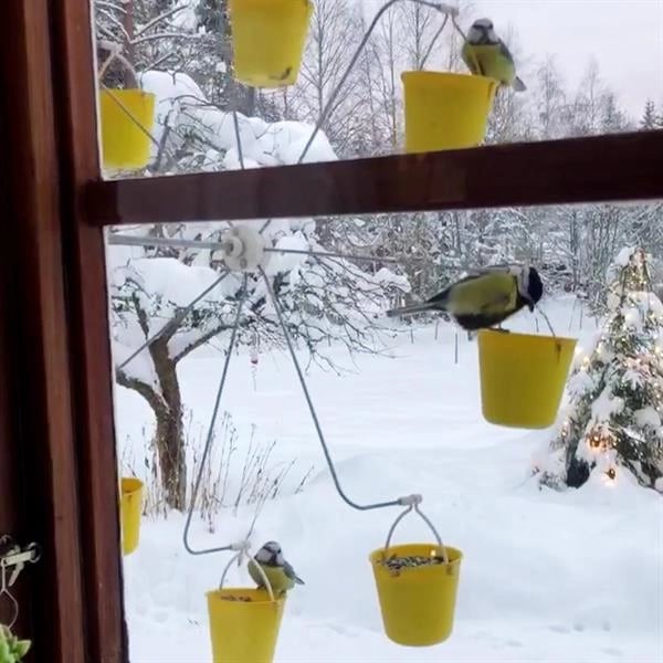 Naotstore - Ferris Wheel Bird Feeder