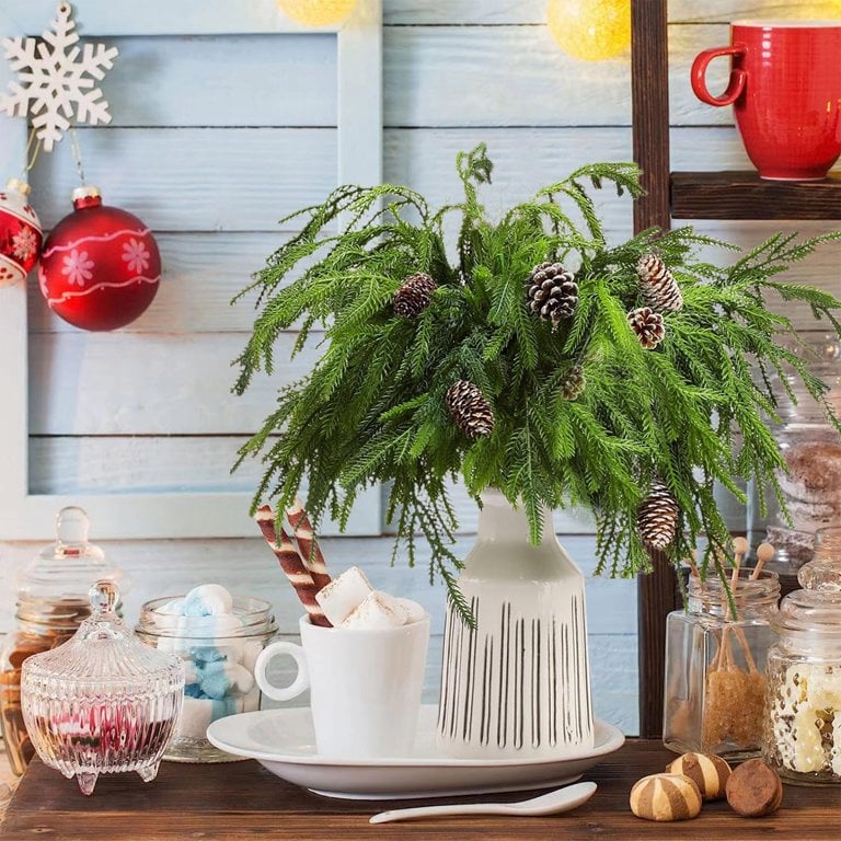 Naotstore - Natural Christmas Greenery-Norfolk Pine Branch