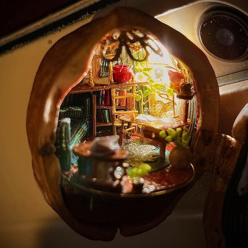 š Handmade.Walnut Shell Doll House--mini library, tiny World inside walnuts