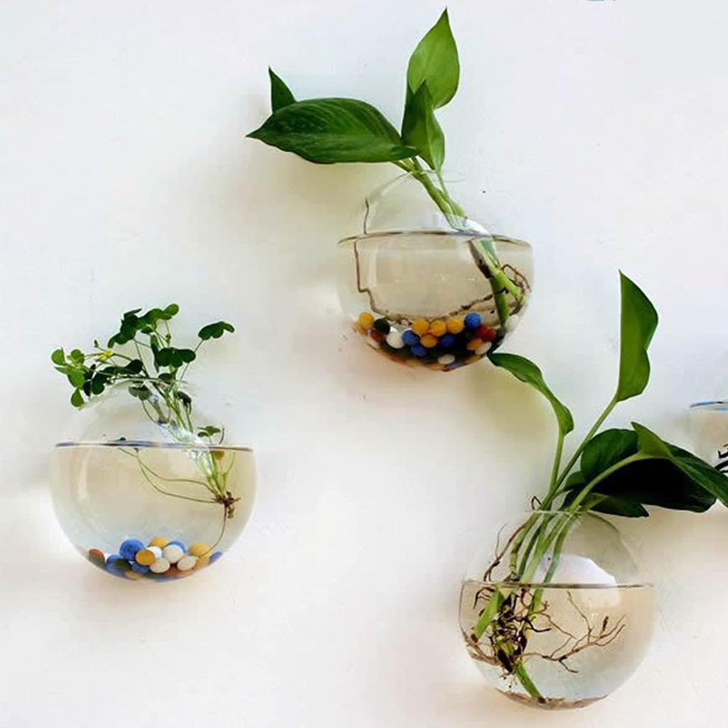 Naotstore - Glass Oblate Globe Plants Containers Wall Mount Clear Flower Vase