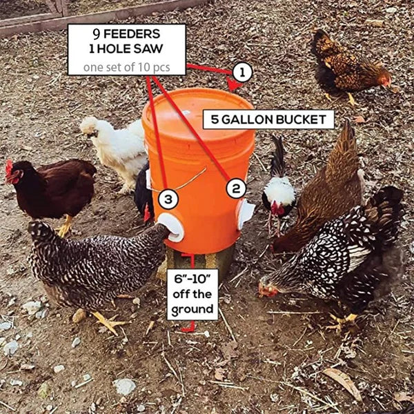 Naotstore - DIY Chicken Feeder