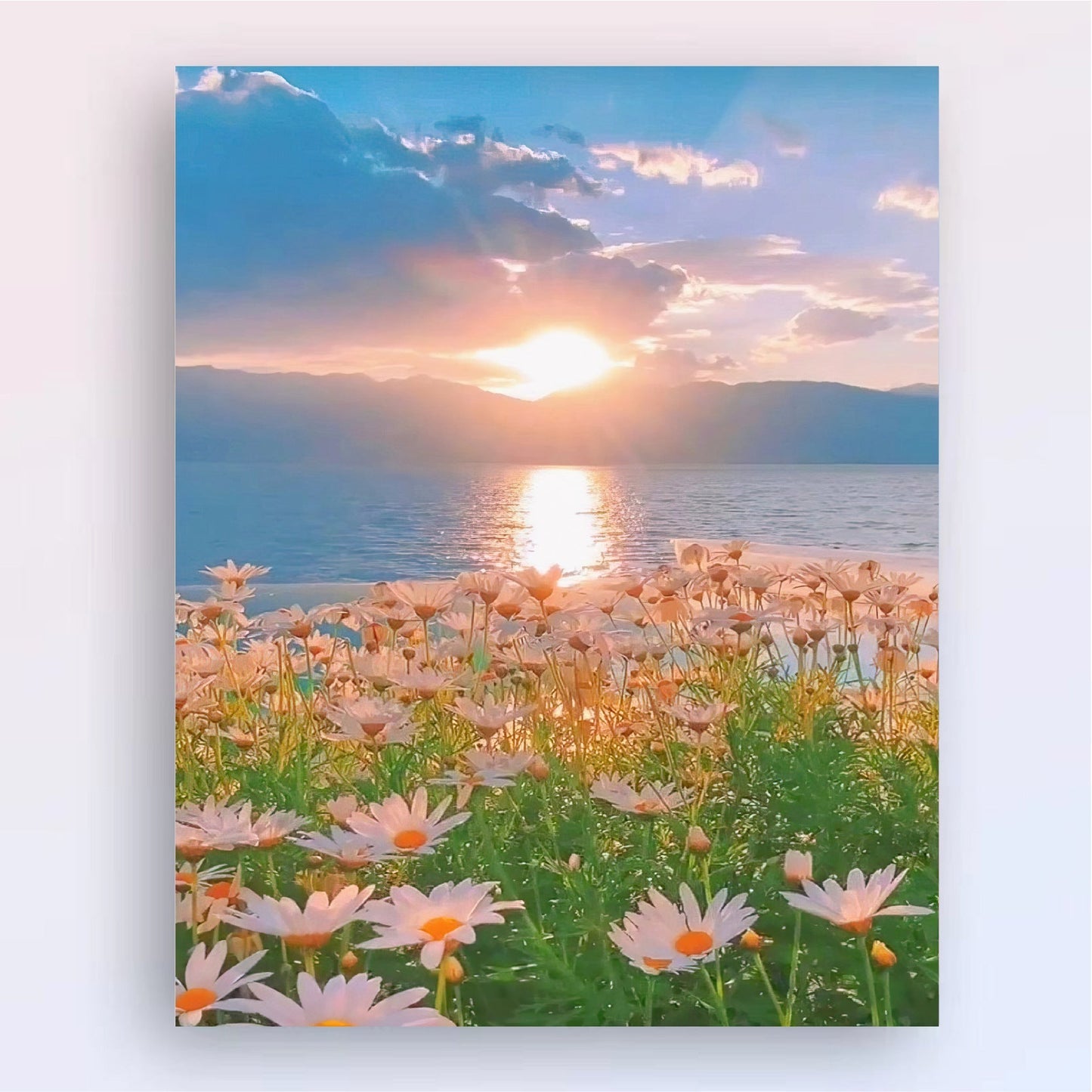 Naotstore - DIY Painting(Self-made oil paintings)