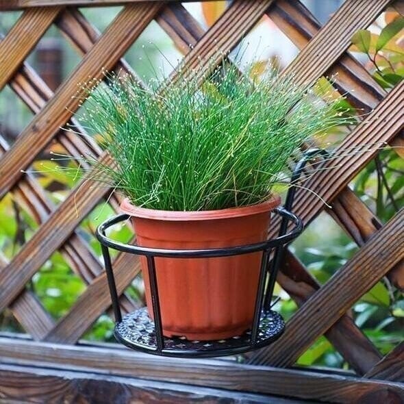 Naotstore - Spring Hot Sale - Hanging flower stand