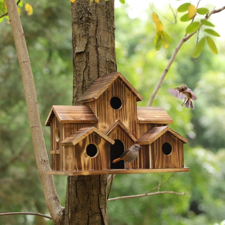 Naotstore - 6 Hole Handmade Bird House