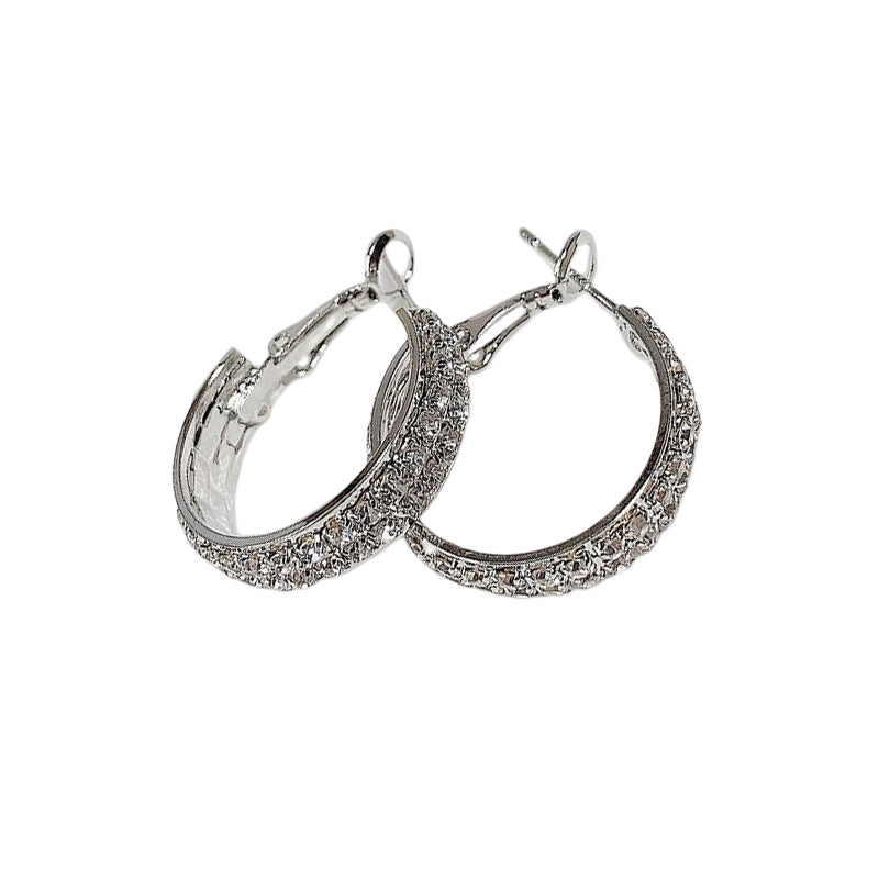 Sparkle Small Hoop Earrings - naotstore