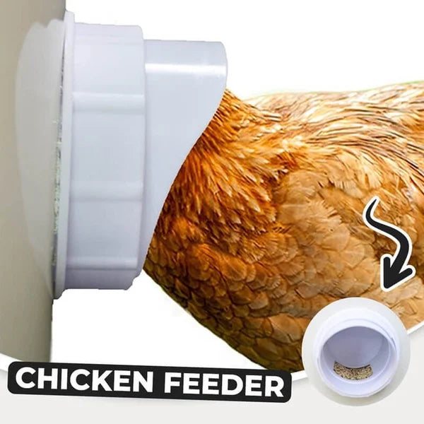Naotstore - DIY Chicken Feeder