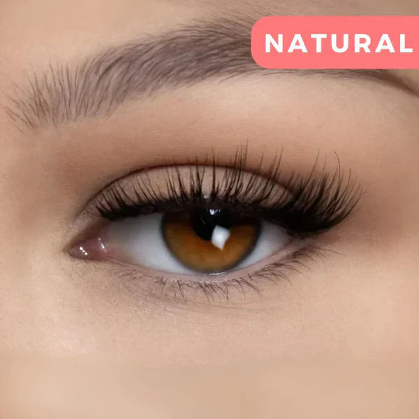 ✨This week's special price is $25.99💗magnetic lash