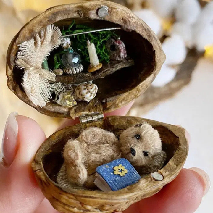 š Handmade.Walnut Shell Doll House--mini library, tiny World inside walnuts