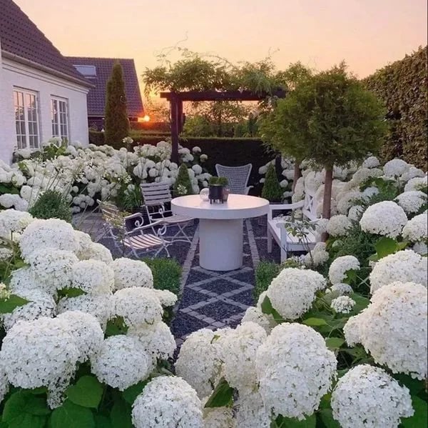 đ„This week's specials đ± Outdoor Artificial Hydrangea Flowers - naotstore