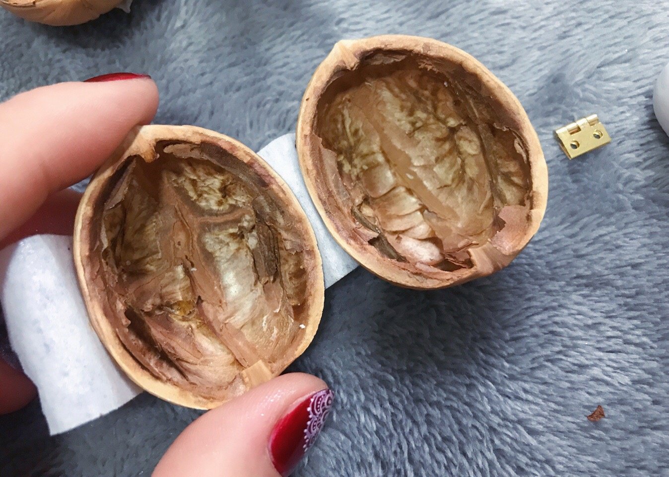 š Handmade.Walnut Shell Doll House--mini library, tiny World inside walnuts