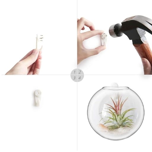 Naotstore - Glass Oblate Globe Plants Containers Wall Mount Clear Flower Vase