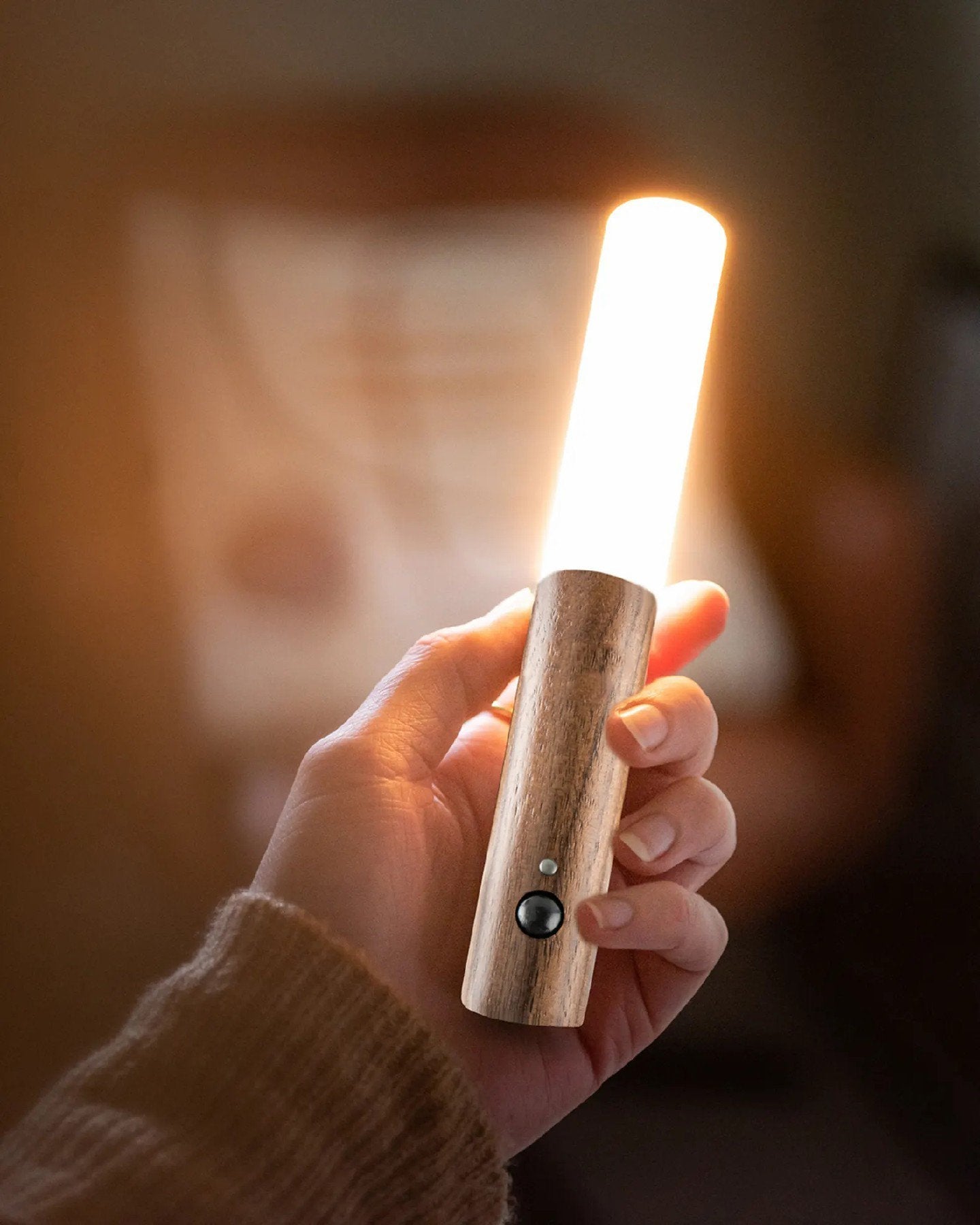✨This week's special price is $26.99💡Intelligent Human Sensing Portable Wall Light