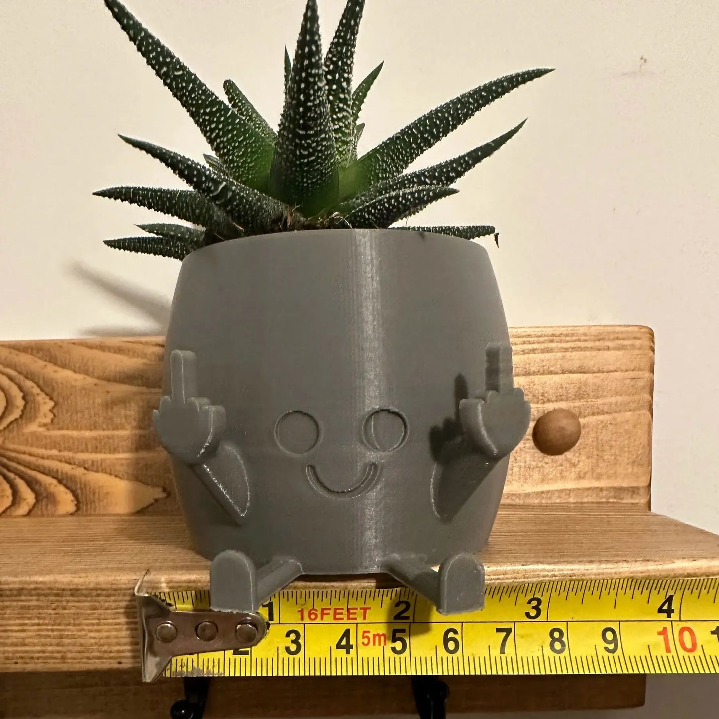 🤣Last day! 💥Special sale - Smiling Plant Pot with Middle Fingers Up - naotstore