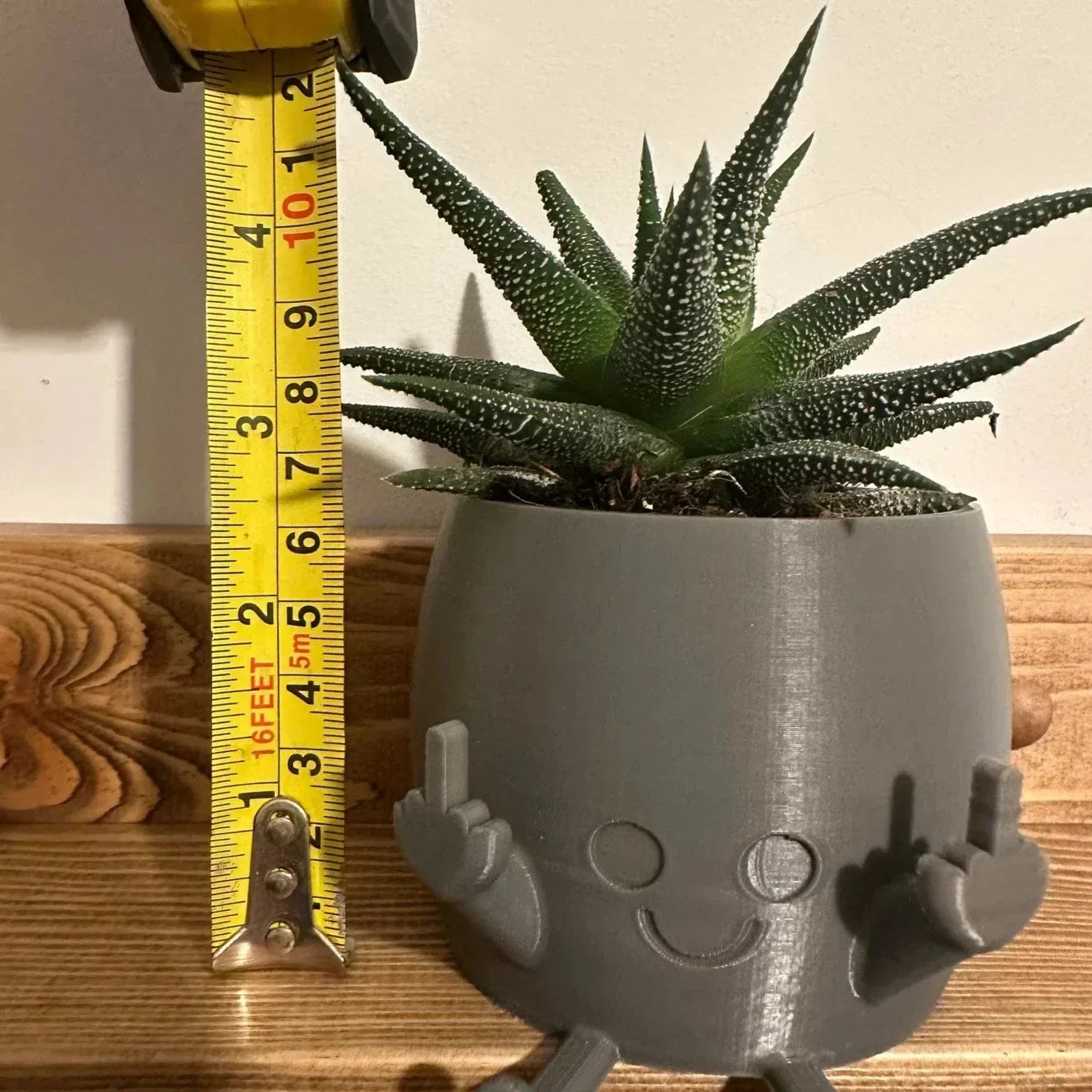 🤣Last day! 💥Special sale - Smiling Plant Pot with Middle Fingers Up - naotstore