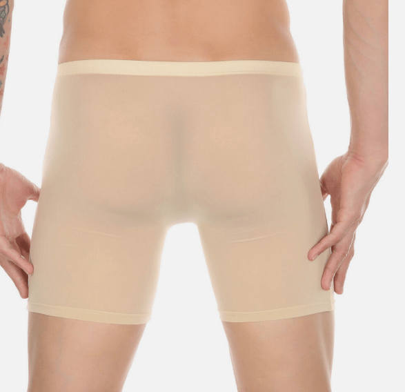 🎉Last day! 💥Special sale - Men's boxer briefs breathable ice silk sports briefs - naotstore