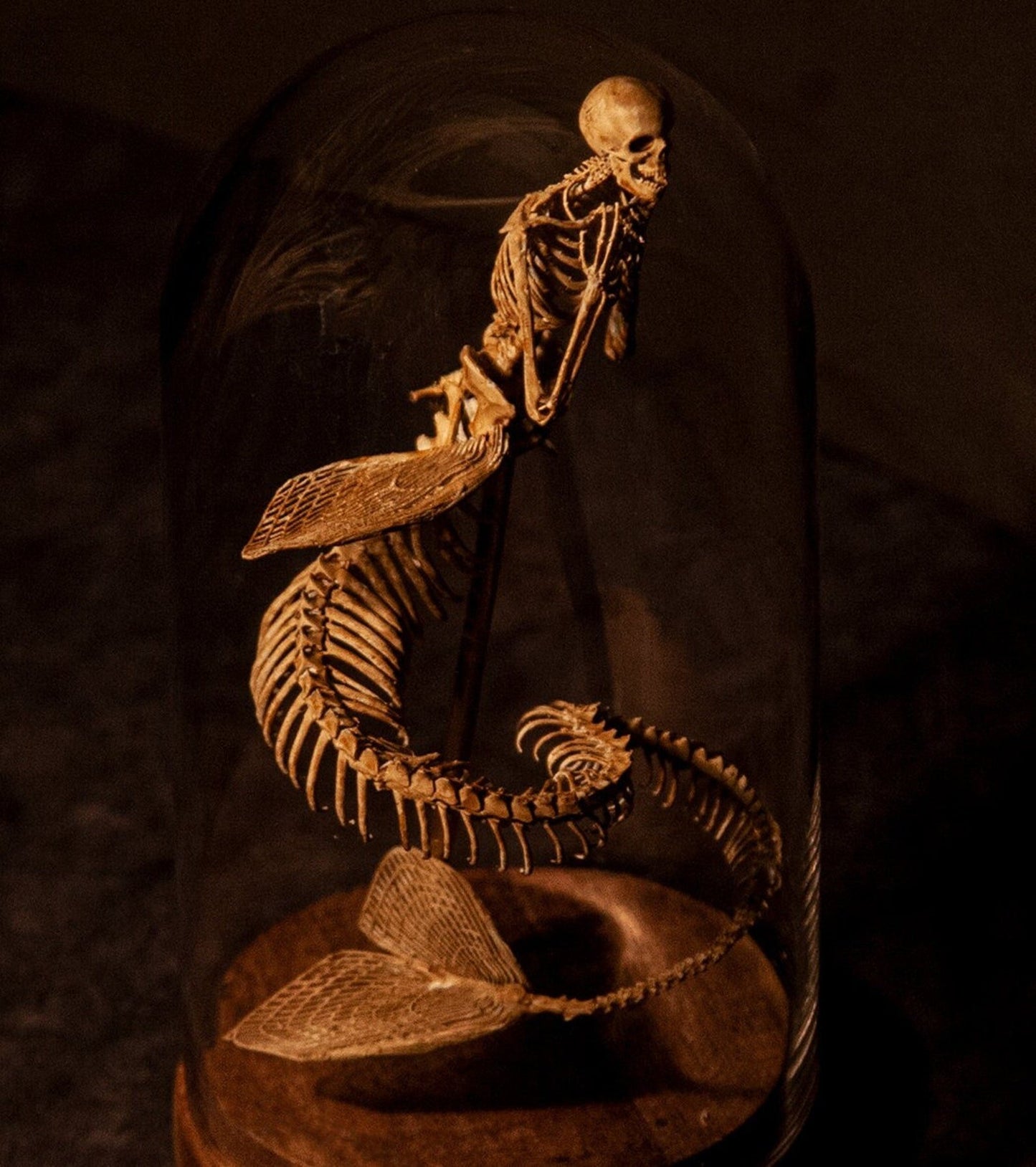 👍Last day! 💥Special sale - WENDIGO SKELETON CURIOSITY CABINET - naotstore