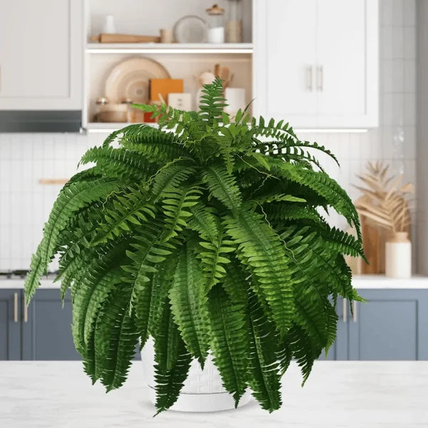 💥This Week's Special Price $18.98🌱UV Resistant Lifelike Artificial Boston Fern - naotstore