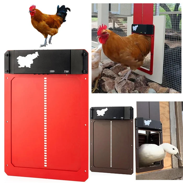 🎉This week's specials - Automatic Chicken Coop Door - naotstore