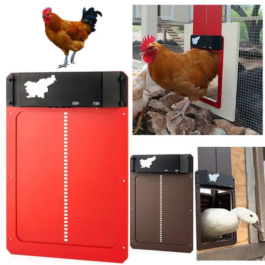 🎉This week's specials - Automatic Chicken Coop Door - naotstore