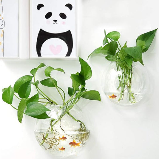 Naotstore - Glass Oblate Globe Plants Containers Wall Mount Clear Flower Vase