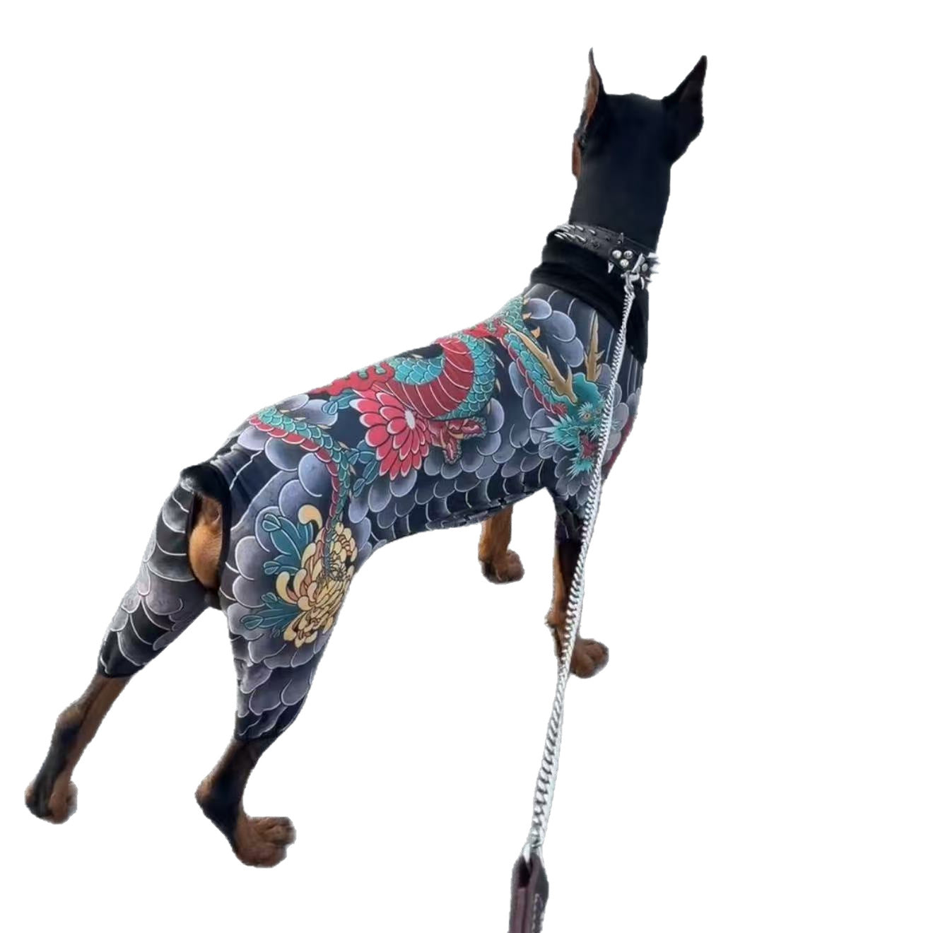 🐕Big Sale! 49% Off🐱 Tattoo Print Pet Four-Paw Set, Suitable for All Seasons, Cats and Dogs