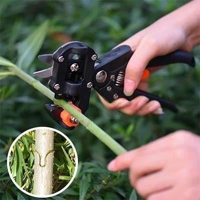 🎉Last day! 💥Special sale - Garden Professional Grafting Cutting Tool