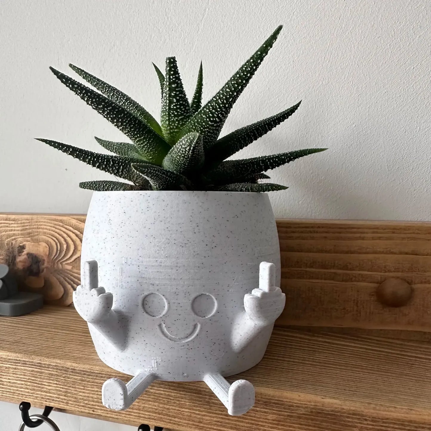 🤣Last day! 💥Special sale - Smiling Plant Pot with Middle Fingers Up - naotstore