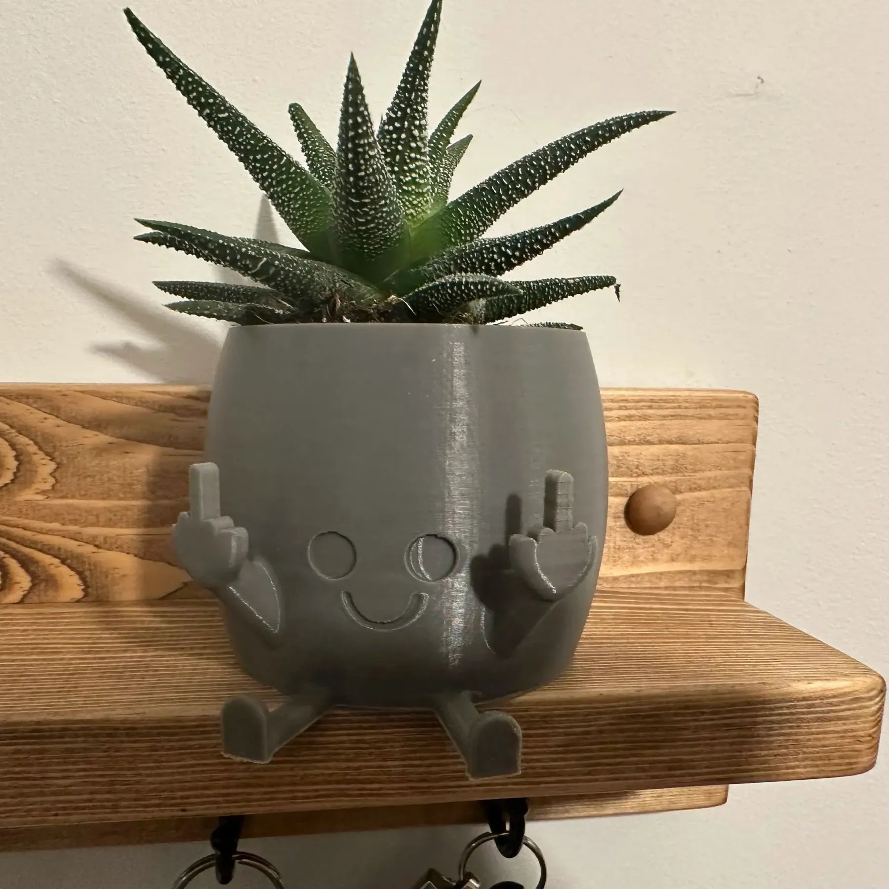 🤣Last day! 💥Special sale - Smiling Plant Pot with Middle Fingers Up - naotstore