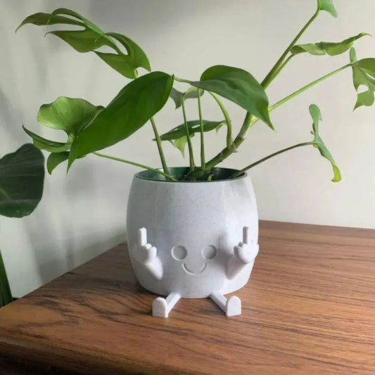 🤣Last day! 💥Special sale - Smiling Plant Pot with Middle Fingers Up - naotstore