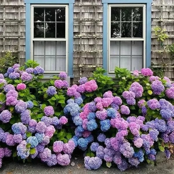 💥This week's specials 🌱 Outdoor Artificial Hydrangea Flowers - naotstore