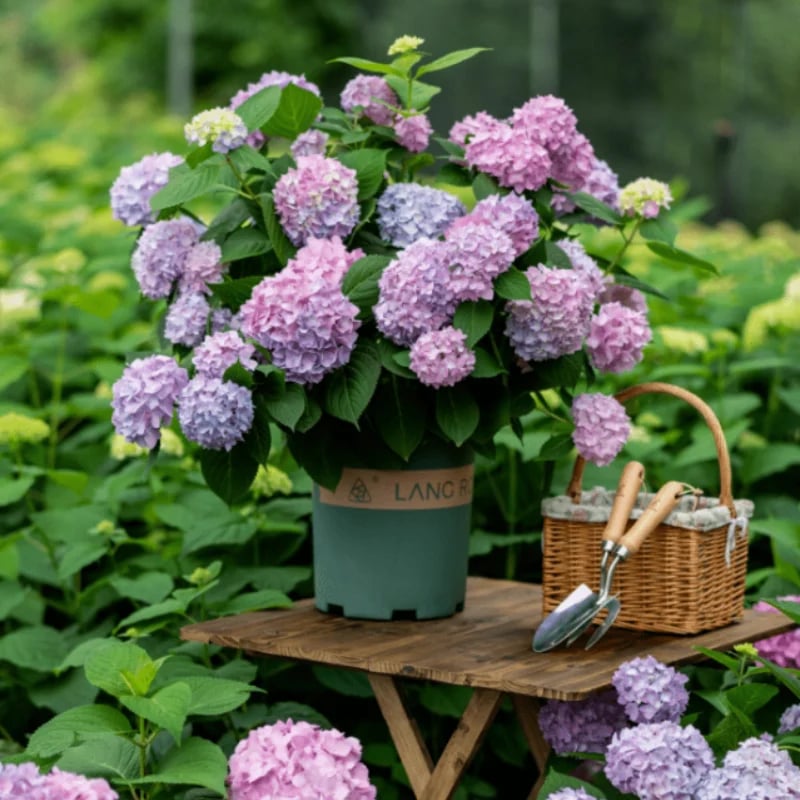 💥This week's specials 🌱 Outdoor Artificial Hydrangea Flowers - naotstore