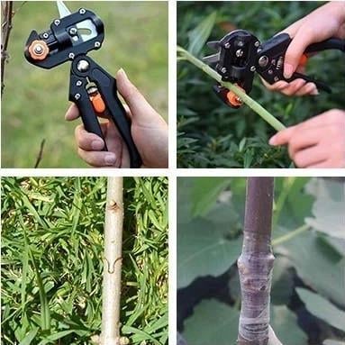 🎉Last day! 💥Special sale - Garden Professional Grafting Cutting Tool