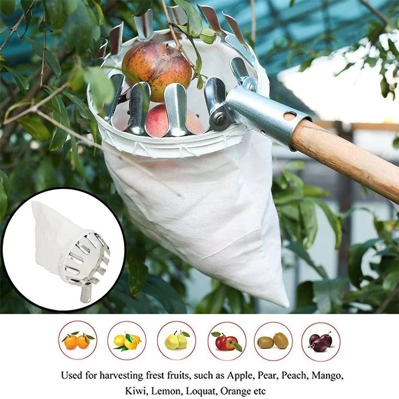 🎉Last day! 💥Special sale - Fruit Picker Head Basket - naotstore