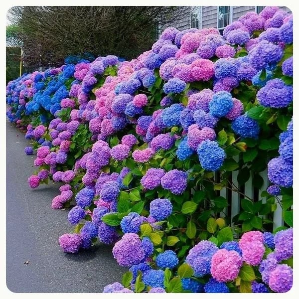 💥This week's specials 🌱 Outdoor Artificial Hydrangea Flowers - naotstore